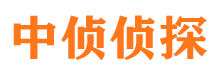 振安市侦探调查公司